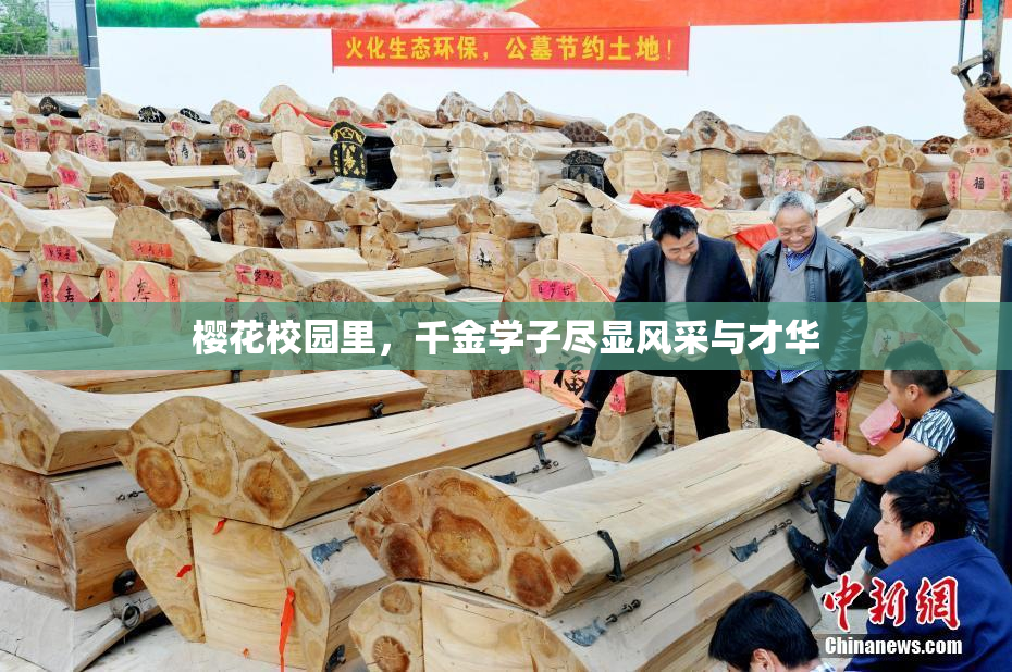 樱花校园里，千金学子尽显风采与才华