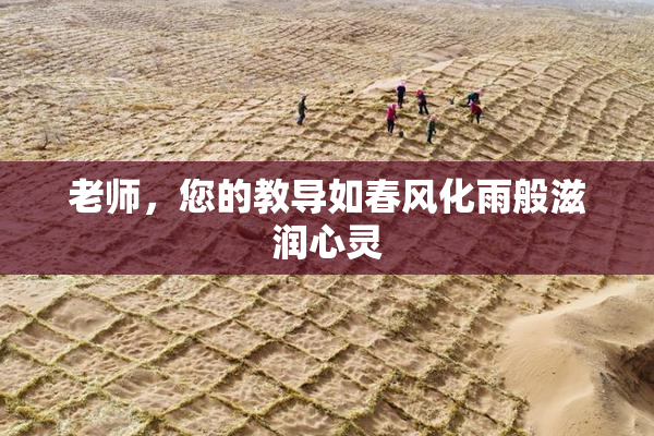 老师，您的教导如春风化雨般滋润心灵