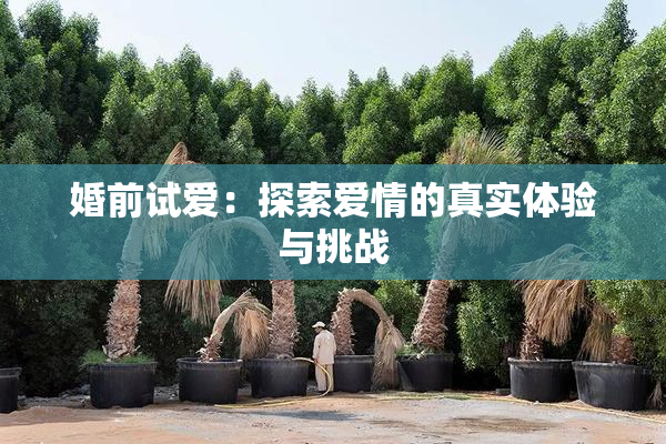 婚前试爱：探索爱情的真实体验与挑战