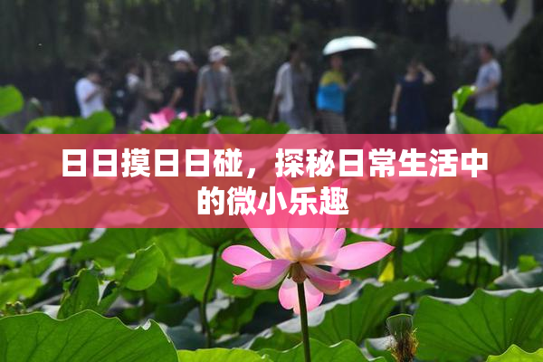 日日摸日日碰，探秘日常生活中的微小乐趣