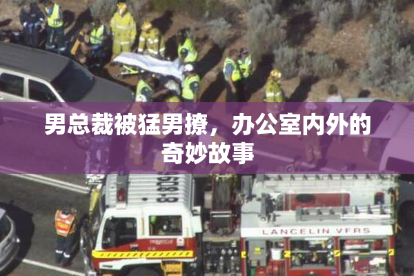 男总裁被猛男撩，办公室内外的奇妙故事