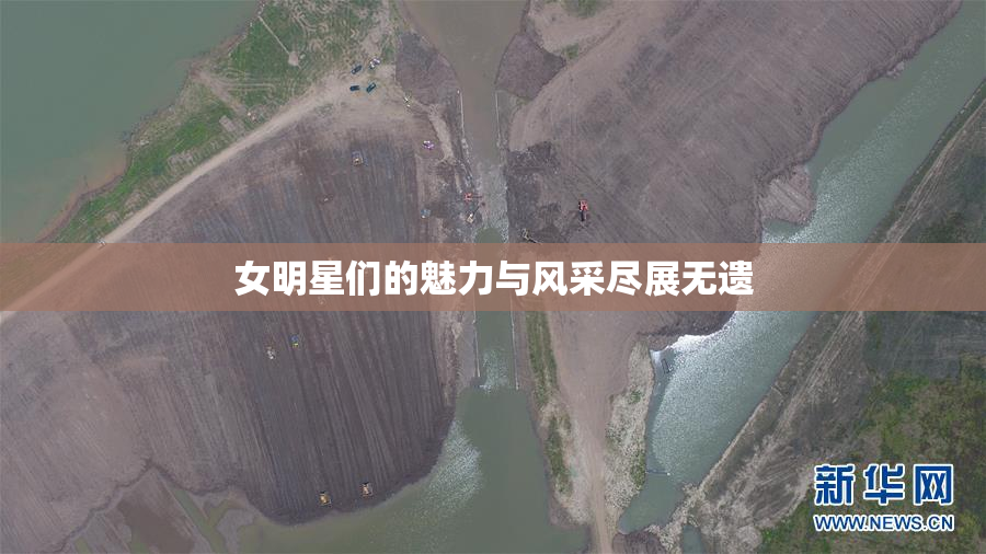 女明星们的魅力与风采尽展无遗
