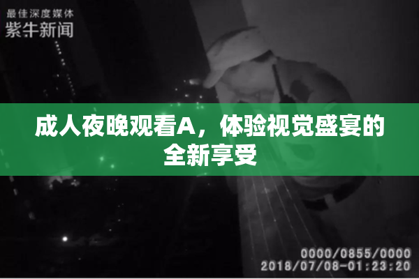 成人夜晚观看A，体验视觉盛宴的全新享受
