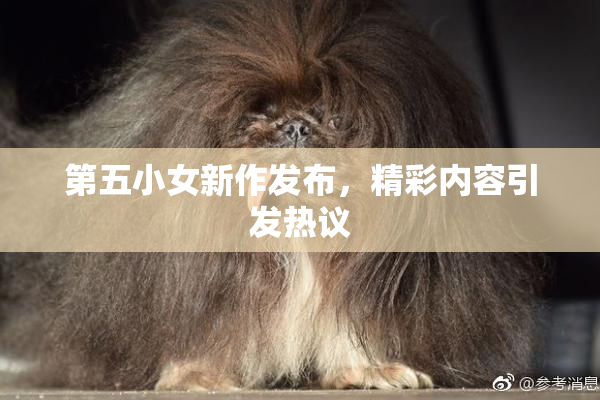 第五小女新作发布，精彩内容引发热议