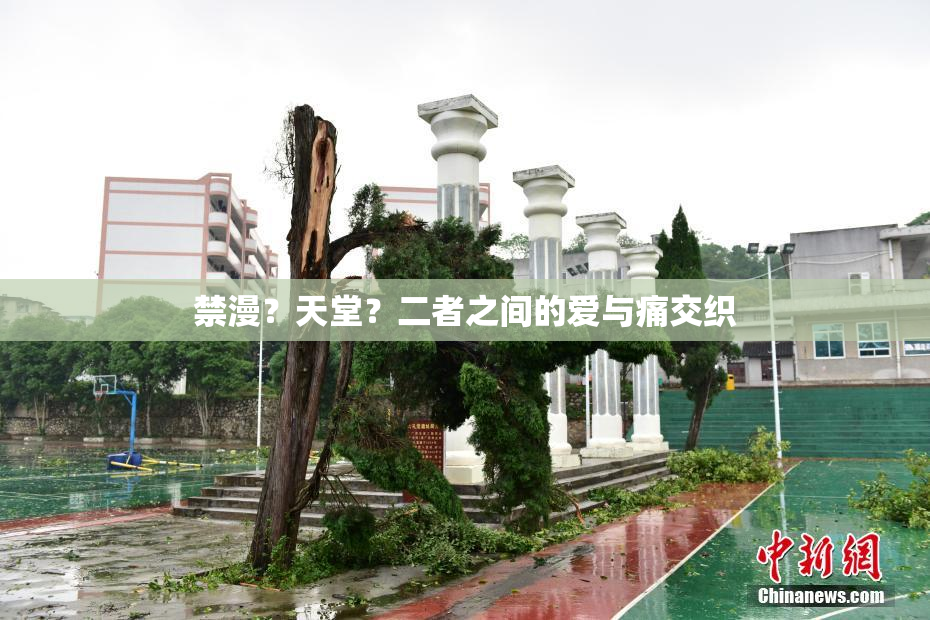 禁漫？天堂？二者之间的爱与痛交织