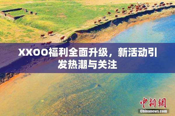 XXOO福利全面升级，新活动引发热潮与关注