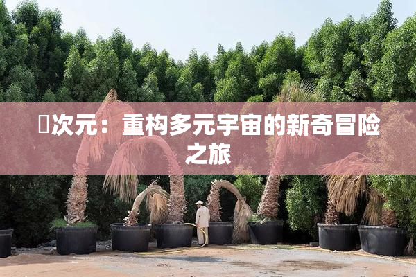 囧次元：重构多元宇宙的新奇冒险之旅