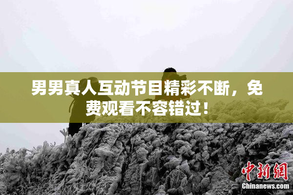 男男真人互动节目精彩不断，免费观看不容错过！
