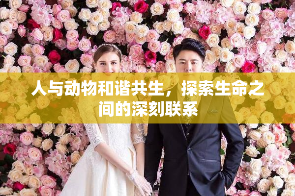 人与动物和谐共生，探索生命之间的深刻联系