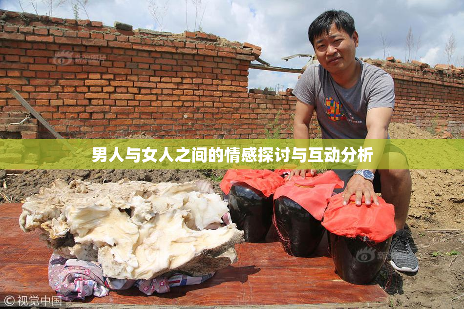 男人与女人之间的情感探讨与互动分析