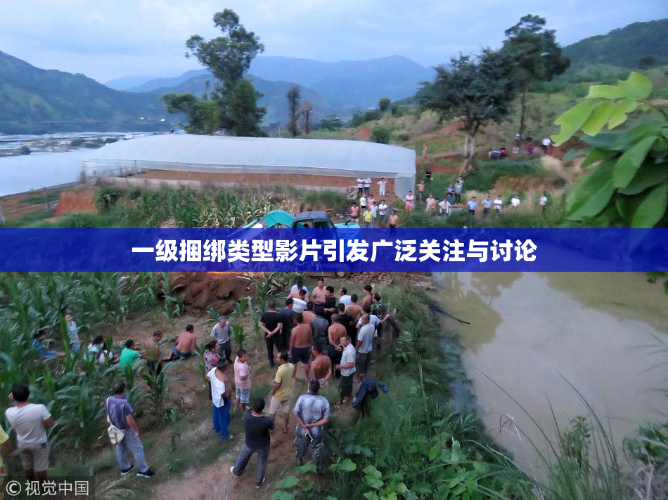 一级捆绑类型影片引发广泛关注与讨论