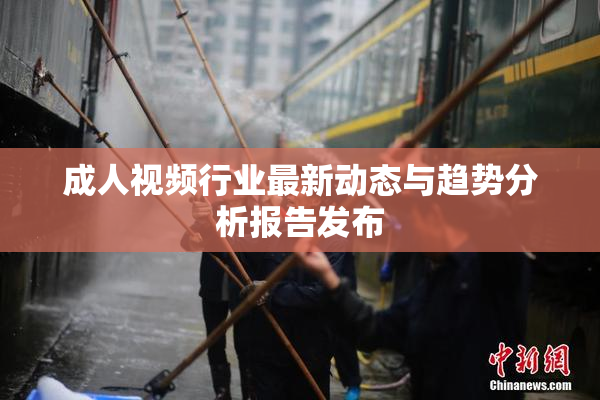 成人视频行业最新动态与趋势分析报告发布