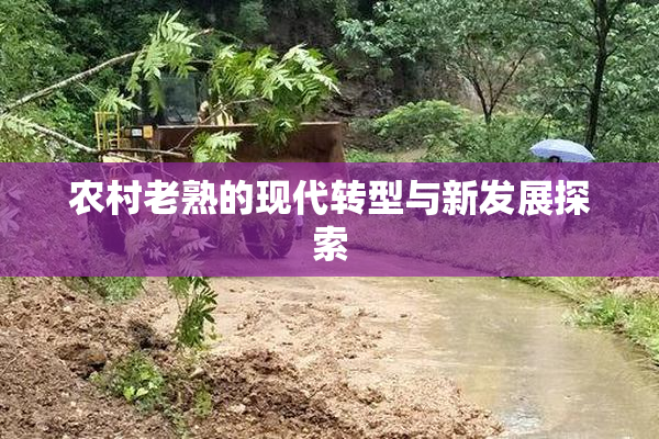 农村老熟的现代转型与新发展探索