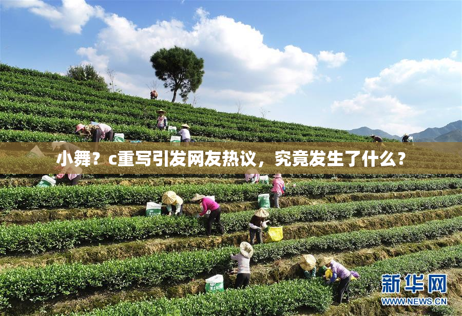 小舞？c重写引发网友热议，究竟发生了什么？
