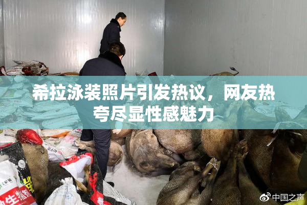 希拉泳装照片引发热议，网友热夸尽显性感魅力