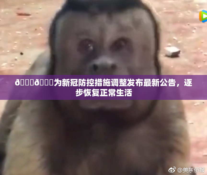 🔞🔞为新冠防控措施调整发布最新公告，逐步恢复正常生活