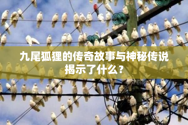 九尾狐狸的传奇故事与神秘传说揭示了什么？
