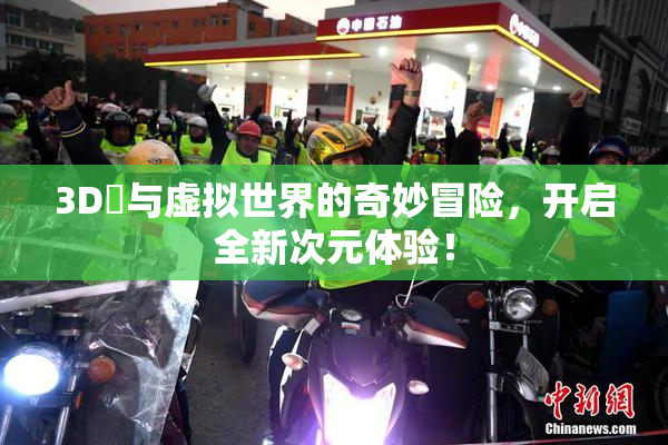 3D姉与虚拟世界的奇妙冒险，开启全新次元体验！
