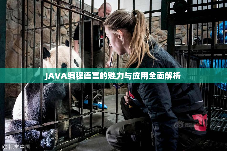 JAVA编程语言的魅力与应用全面解析