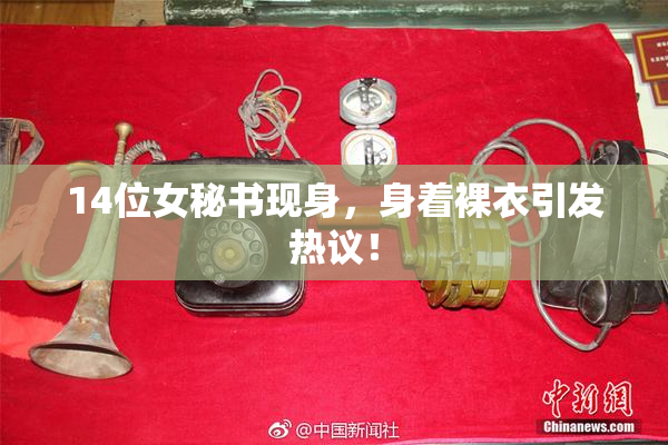 14位女秘书现身，身着裸衣引发热议！