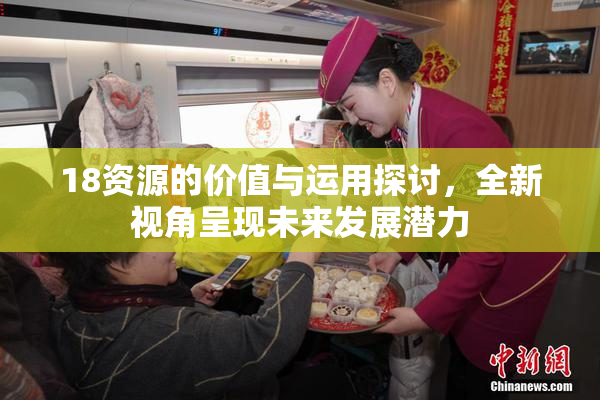 18资源的价值与运用探讨，全新视角呈现未来发展潜力