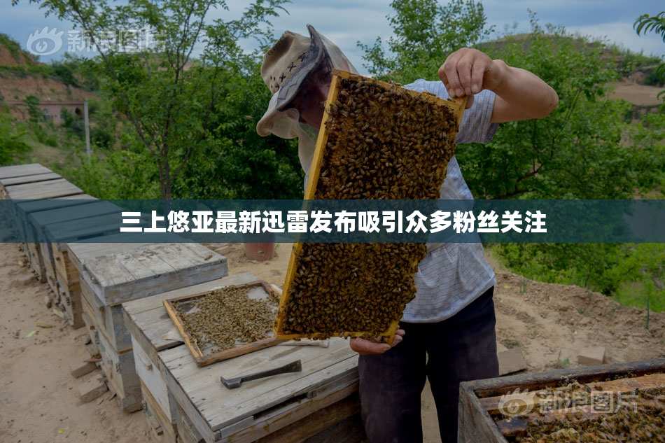三上悠亚最新迅雷发布吸引众多粉丝关注