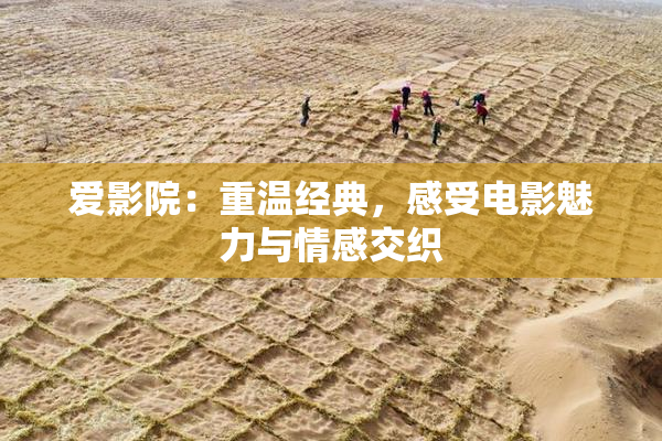 爱影院：重温经典，感受电影魅力与情感交织