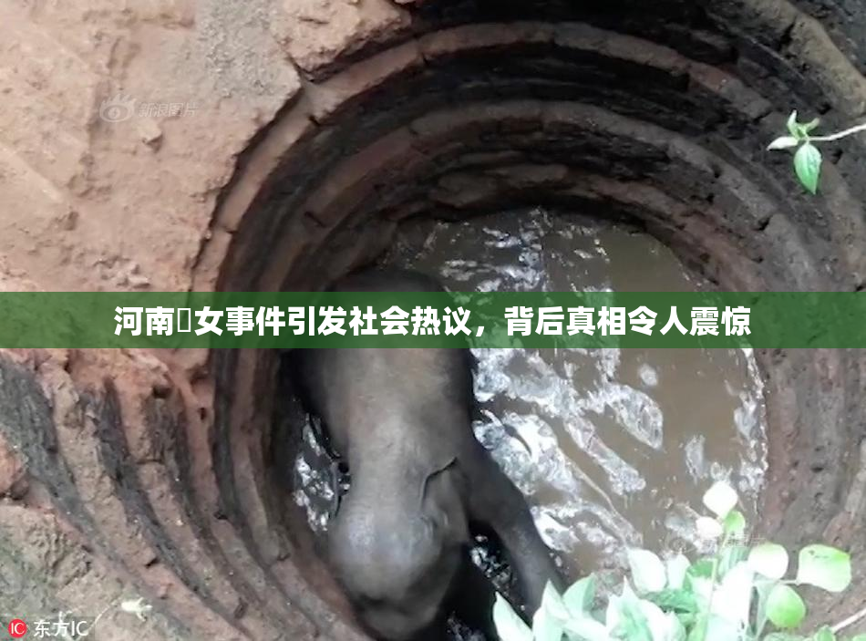 河南婬女事件引发社会热议，背后真相令人震惊