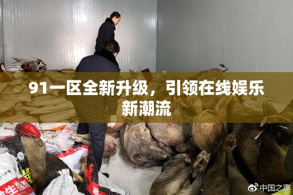 91一区全新升级，引领在线娱乐新潮流