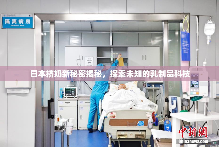日本挤奶新秘密揭秘，探索未知的乳制品科技
