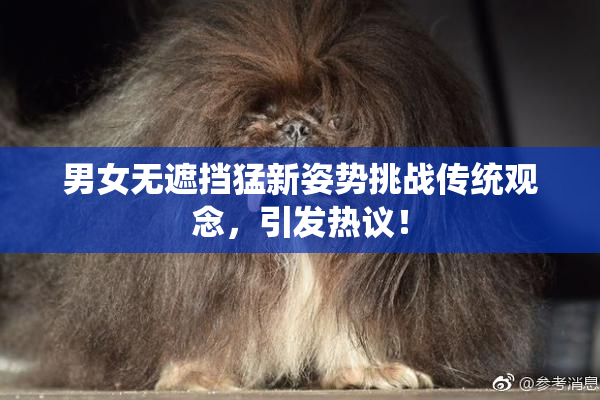 男女无遮挡猛新姿势挑战传统观念，引发热议！