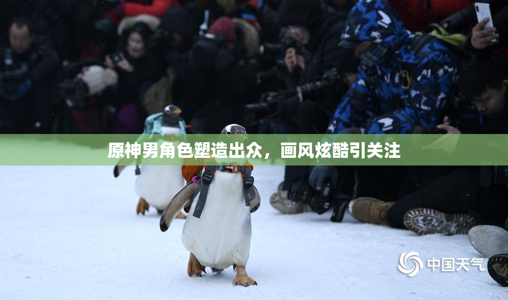 原神男角色塑造出众，画风炫酷引关注