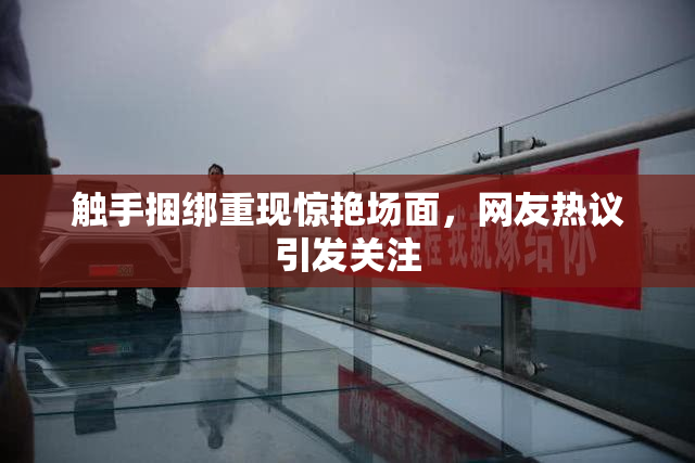 触手捆绑重现惊艳场面，网友热议引发关注