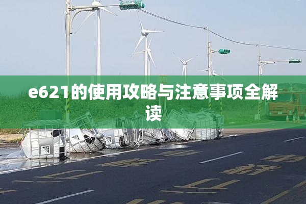 e621的使用攻略与注意事项全解读