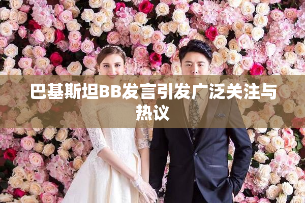 巴基斯坦BB发言引发广泛关注与热议