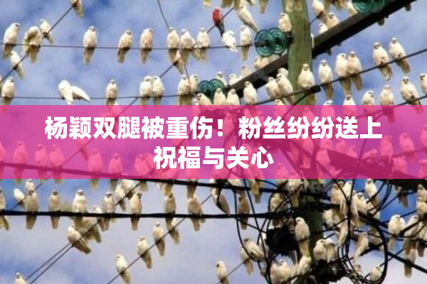 杨颖双腿被重伤！粉丝纷纷送上祝福与关心
