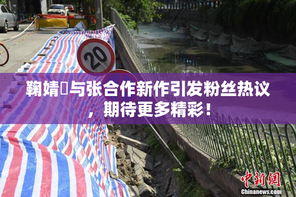 鞠婧祎与张合作新作引发粉丝热议，期待更多精彩！