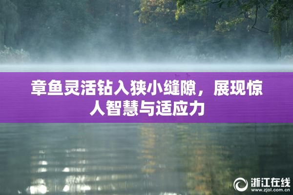 章鱼灵活钻入狭小缝隙，展现惊人智慧与适应力