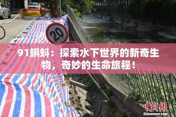 91蝌蚪：探索水下世界的新奇生物，奇妙的生命旅程！