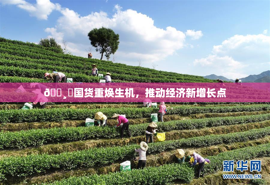 🌸‌国货重焕生机，推动经济新增长点
