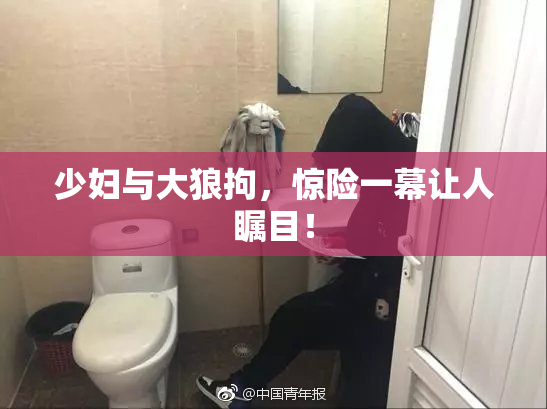 少妇与大狼拘，惊险一幕让人瞩目！
