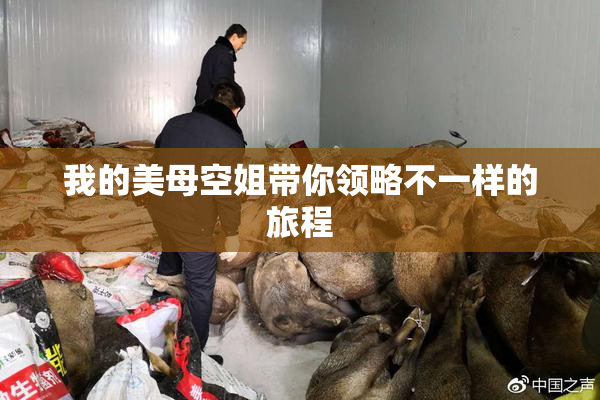 我的美母空姐带你领略不一样的旅程