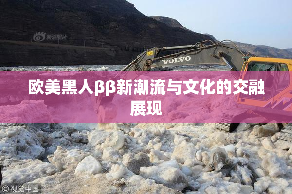 欧美黑人ββ新潮流与文化的交融展现