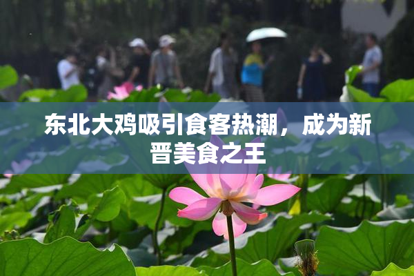 东北大鸡吸引食客热潮，成为新晋美食之王