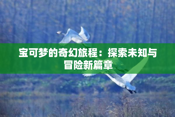 宝可梦的奇幻旅程：探索未知与冒险新篇章