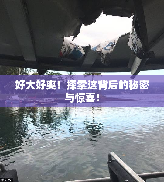 好大好爽！探索这背后的秘密与惊喜！