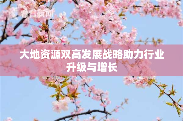 大地资源双高发展战略助力行业升级与增长