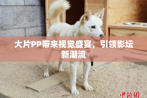 大片PP带来视觉盛宴，引领影坛新潮流