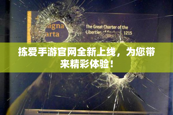 拣爱手游官网全新上线，为您带来精彩体验！