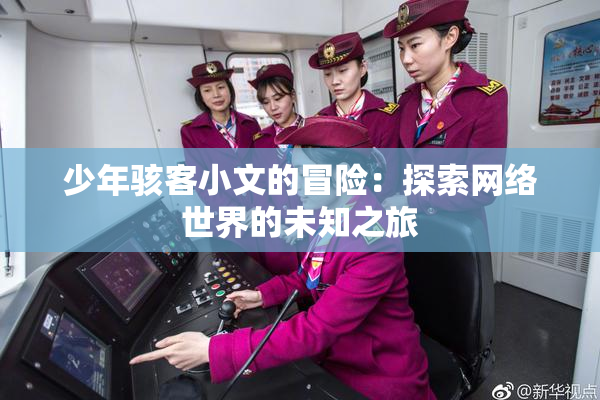 少年骇客小文的冒险：探索网络世界的未知之旅